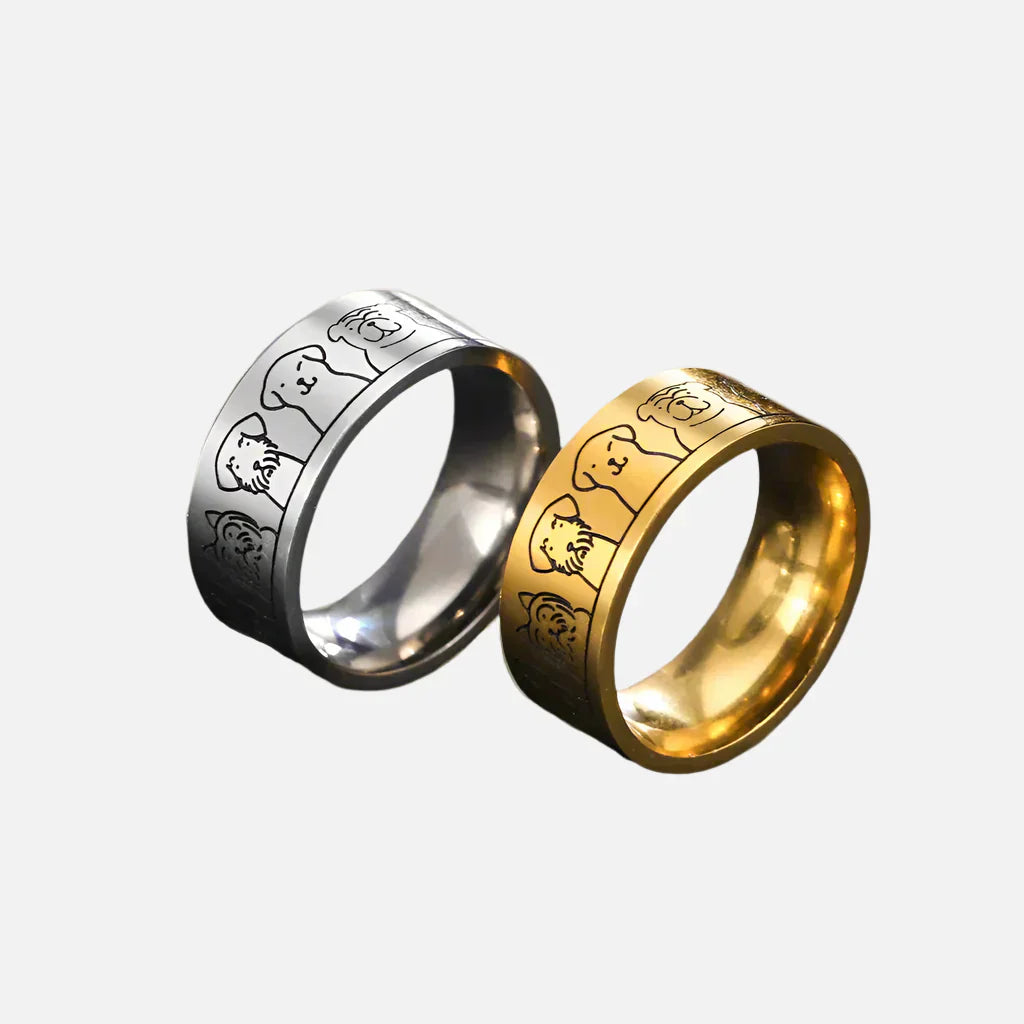 Himmels Umarmung Band