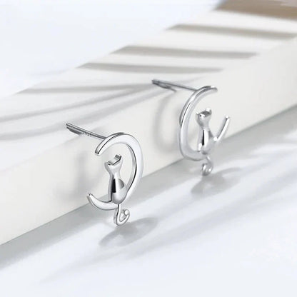 Heavenly Cat Cuddles